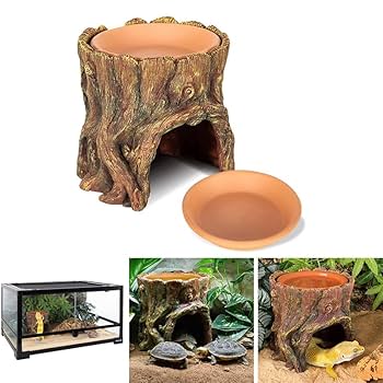 爬虫類用ウェットシェルター Amazon | Ladruph 爬虫類 シェルター ウェットシェルター 隠れ家